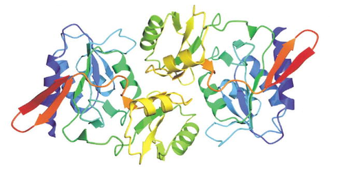 Ribose-5-phosphate isomerase